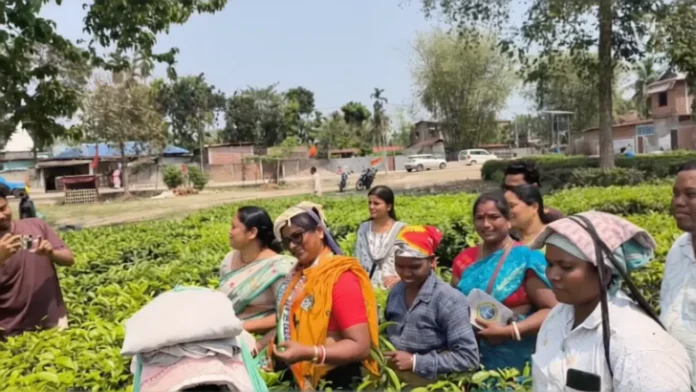 TMC candidate Rina Toppo Ekka interacts with tea garden workers at Satish Chandra Tea Estate during her campaign on Thursday. 26 March 2026.